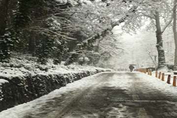 زمستان در دانشگاه